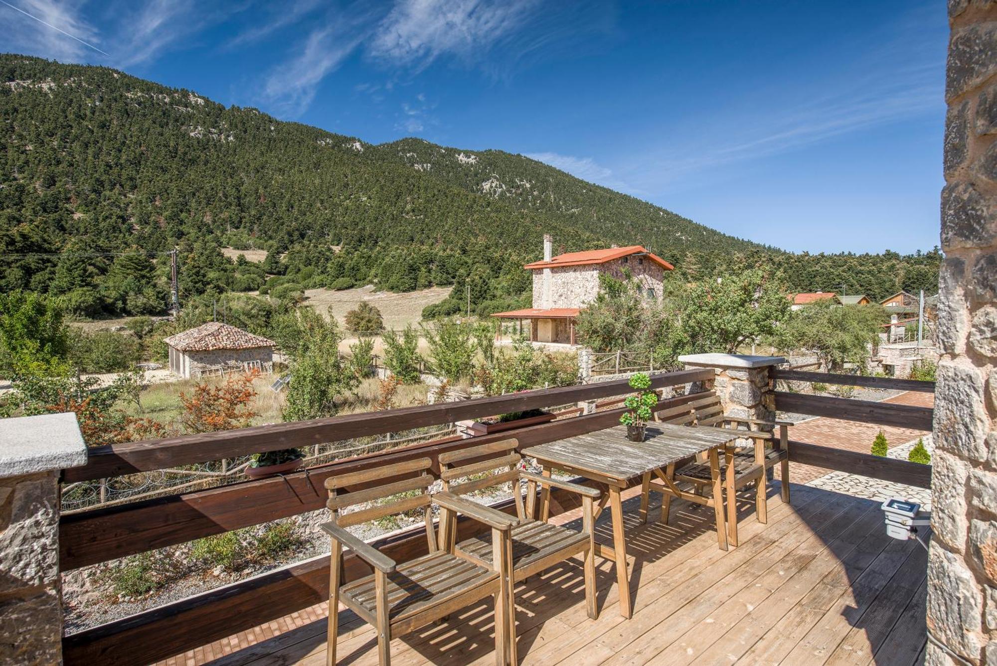 Vip Chalet 4 Seasons Arachova Cameră foto