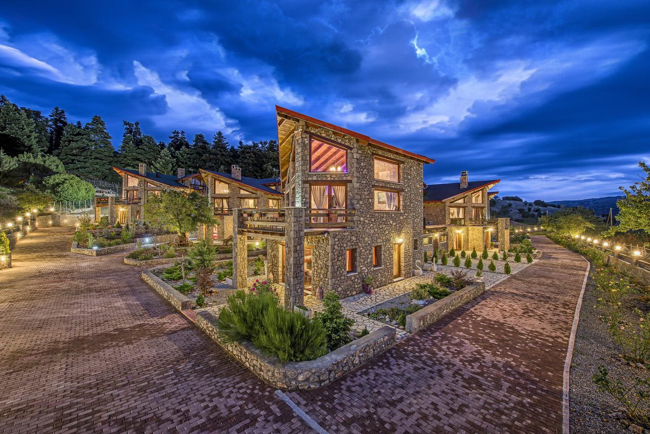 Vip Chalet 4 Seasons Arachova Exterior foto