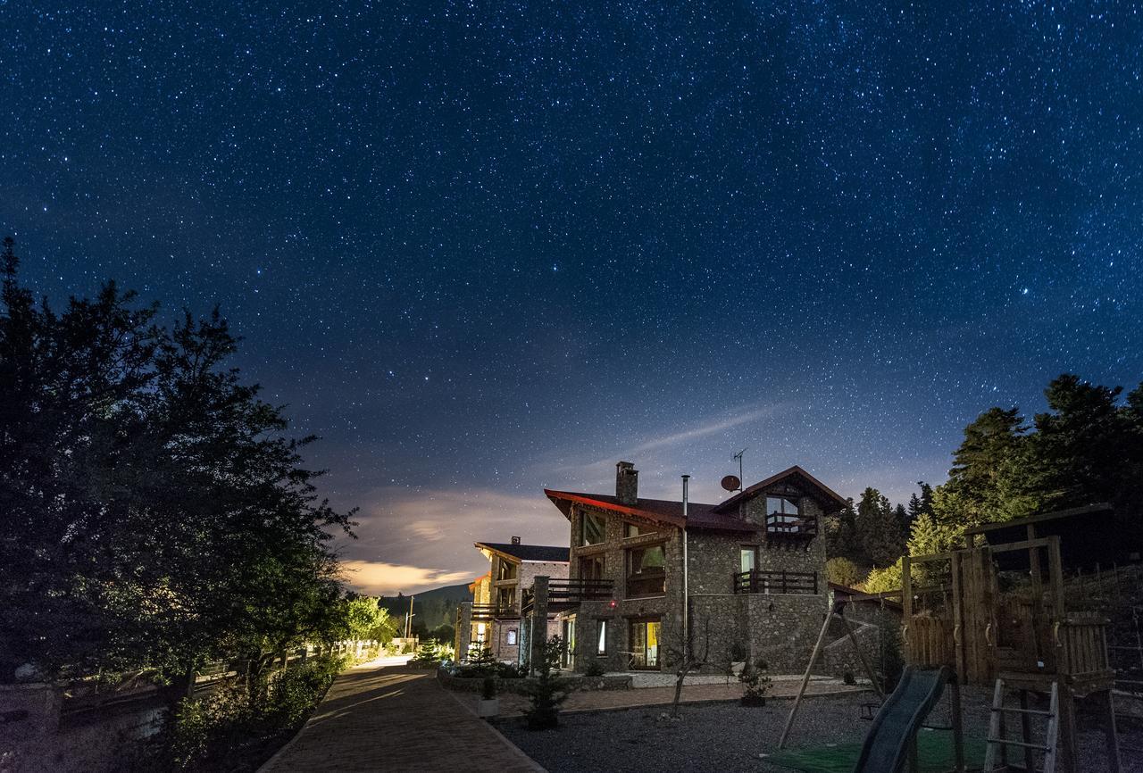 Vip Chalet 4 Seasons Arachova Exterior foto