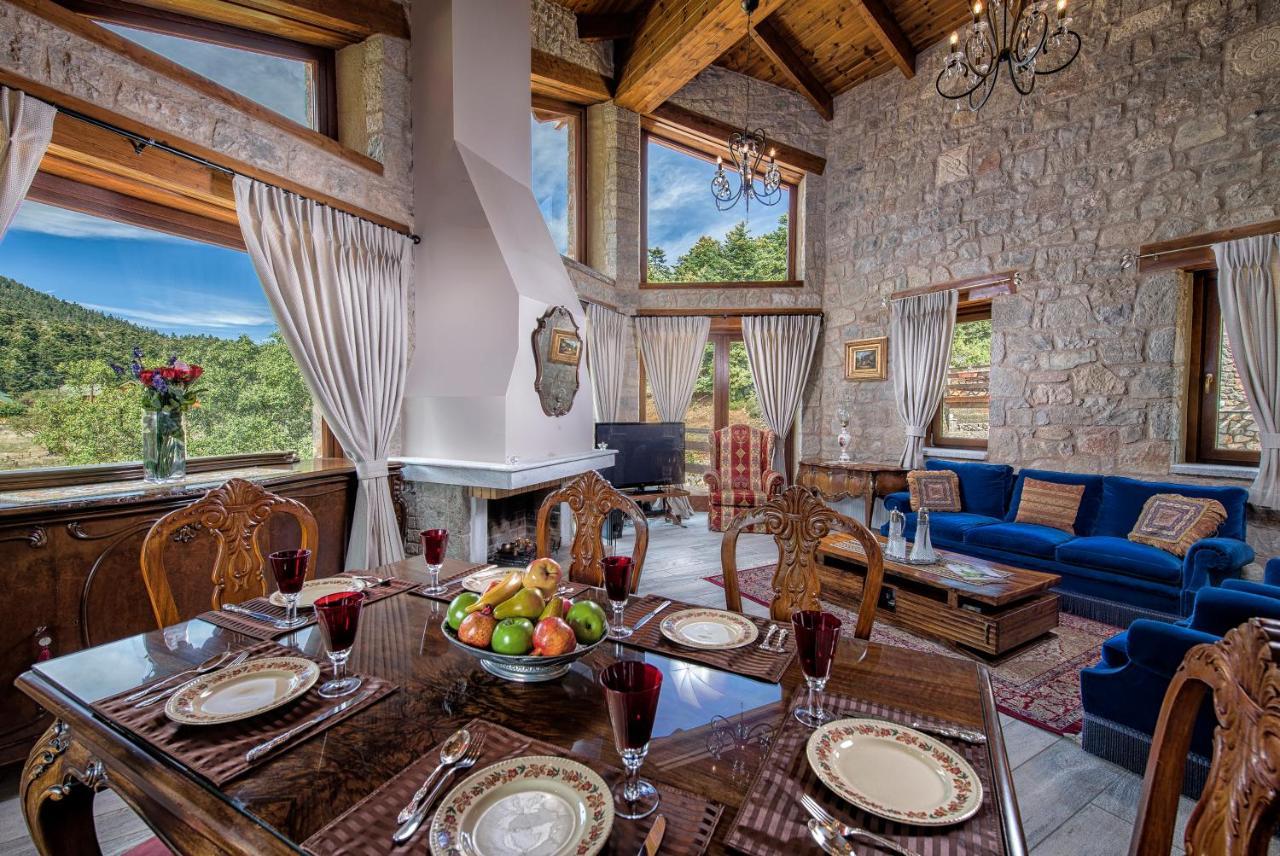 Vip Chalet 4 Seasons Arachova Cameră foto
